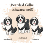 Preview: Motivauswahl der Dokumentenhülle für die Hunderasse Bearded Collie schwarz