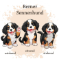 Preview: Motivauswahl für Dokumentenhülle für Berner Sennenhund