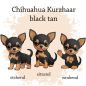Preview: Motivauswahl der Dokumentenhülle für die Hunderasse Chihuahua Kurzhaar black tan