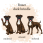 Preview: Boxer dark brindle Motivauswahl für Dokumentenhülle