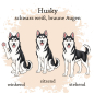 Preview: Husky schwarz weiß mit braune Augen Motivauswahl für Dokumentenhülle