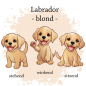 Preview: Motivauswahl für Dokumentenhülle für Labrador blond