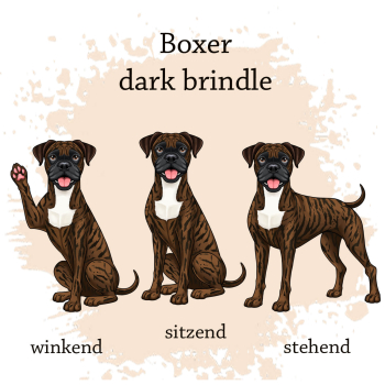 Preview: Boxer dark brindle Motivauswahl für Dokumentenhülle