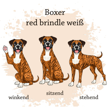 Preview: Boxer red brindle weiß Motivauswahl für Dokumentenhülle