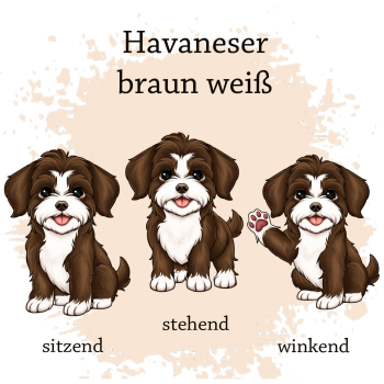 Preview: Motivauswahl für die Impfpasshülle Havaneser braun weiß