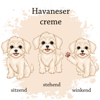 Preview: Motivauswahl für die Impfpasshülle Havaneser creme