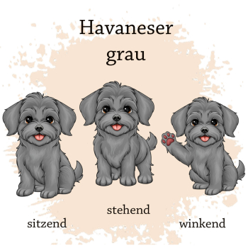 Preview: Motivauswahl für die Impfpasshülle Havaneser grau