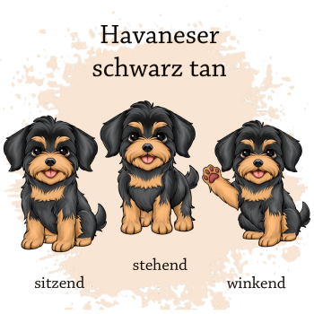 Preview: Motivauswahl für die Impfpasshülle Havaneser schwarz tan