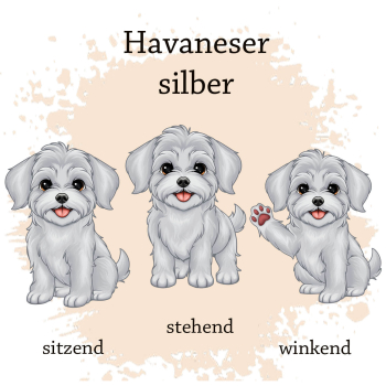 Preview: Motivauswahl für die Impfpasshülle Havaneser silber