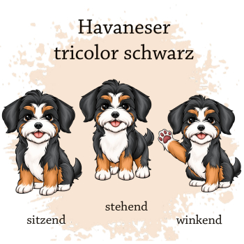 Preview: Motivauswahl für die Impfpasshülle Havaneser tricolor schwarz