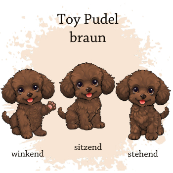Preview: Motivauswahl der Dokumentenhülle für die Hunderasse Toypudel braun