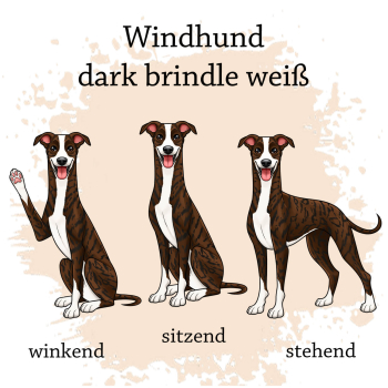 Preview: Windhund in dark brindle weiß Motivauswahl