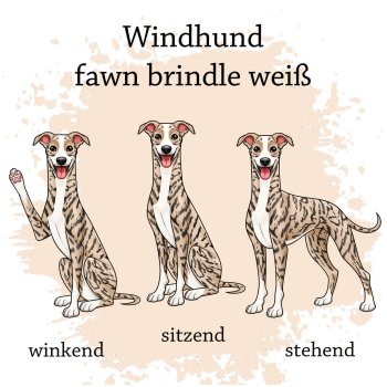 Preview: Windhund in fawn brindle weiß Motivauswahl