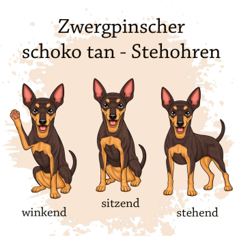 Preview: Motivauswahl der Dokumentenhülle für die Hunderasse Zwergpinscher in schoko tan