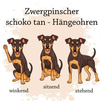 Preview: Motivauswahl der Dokumentenhülle für die Hunderasse Zwergpinscher schoko tan