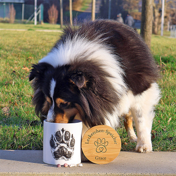 Preview: Leckerli Dose Hund