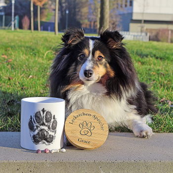 Leckerlidosen personalisiert