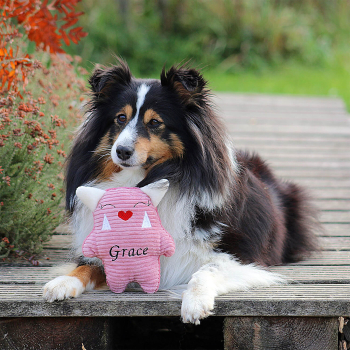 Spielzeug für den Hund mit Namen