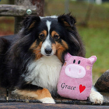Spielzeug für Hunde mit Namen