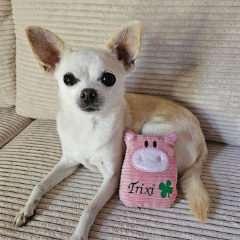 Hundespielzeug für kleine Hunde