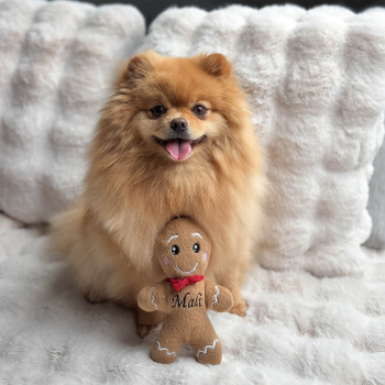 Hundespielzeug mit Namen personalisiert