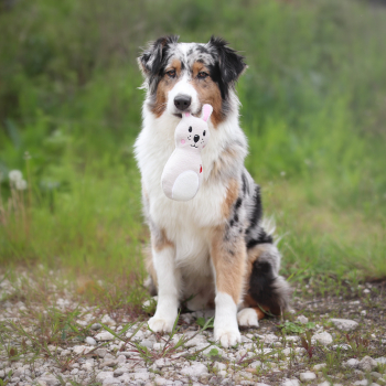 Kuscheltier für den Hund Hase in creme