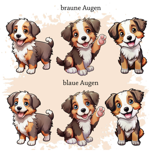 Australian Shepherd red tri Motivauswahl