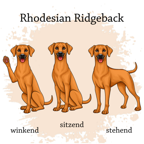 Rhodesian Ridgeback Motivauswahl