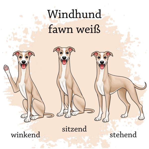 Windhund in fawn weiß Motivauswahl