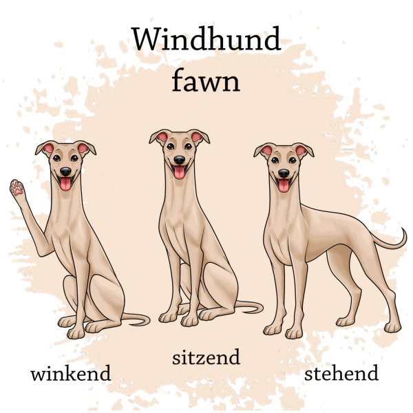 Windhund in fawn Motivauswahl