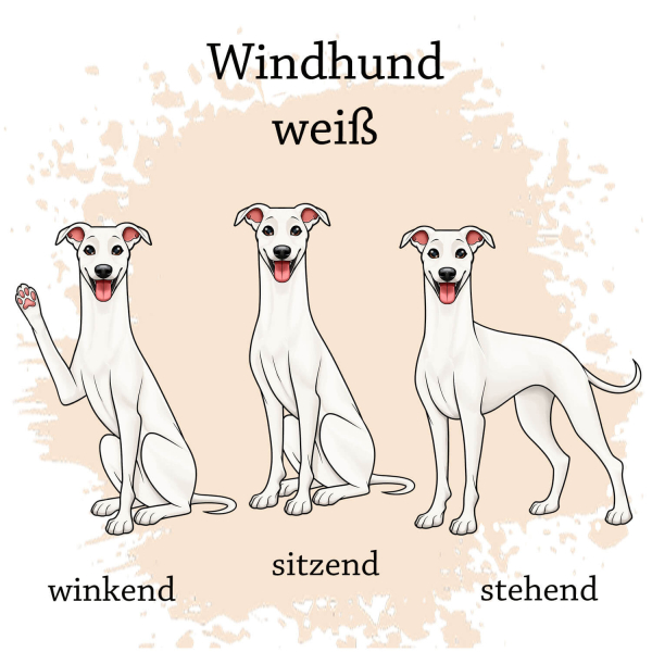 Windhund in weiß Motivauswahl