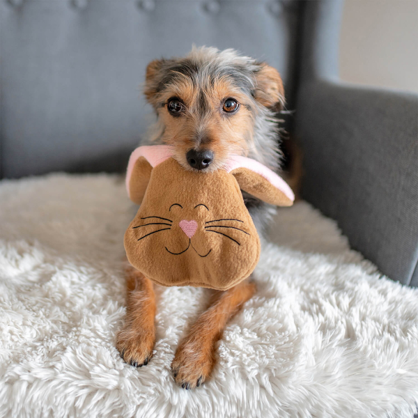 Spielzeug für den Hund Hase in braun