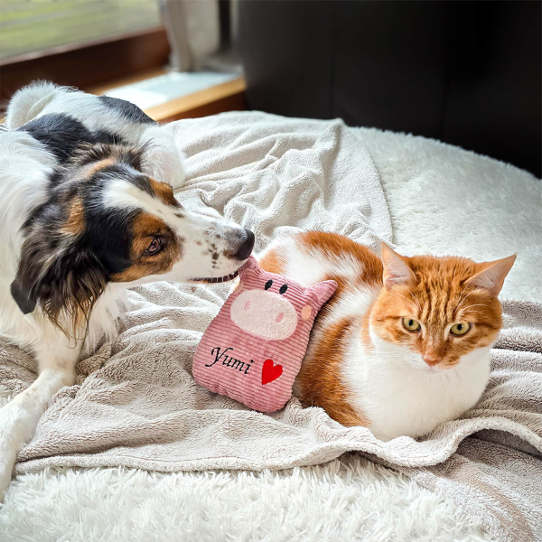 Personalisiertes Hundespielzeug mit Namen