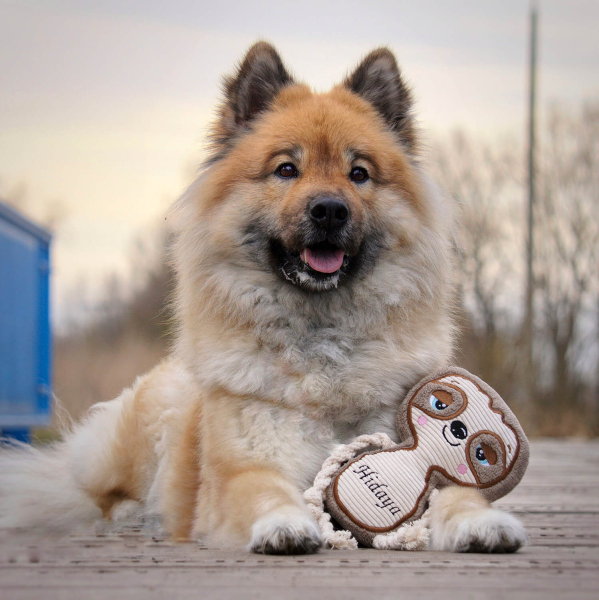 Hundespielzeug Faultier Designbeispiel mit Hund