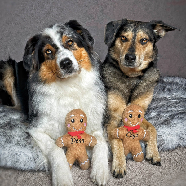 Geschenk für den Hund