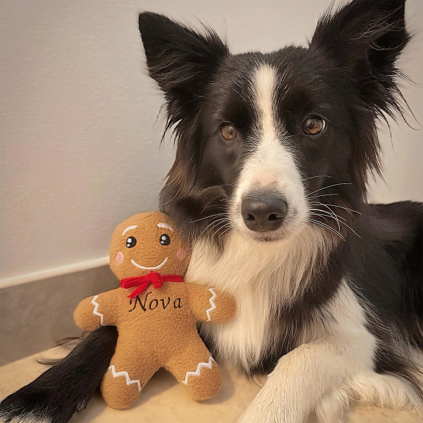 Hundespielzeug lustig als Geschenk