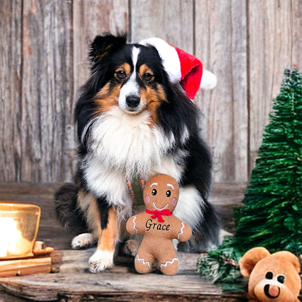 Geschenkideen für Hundebesitzer