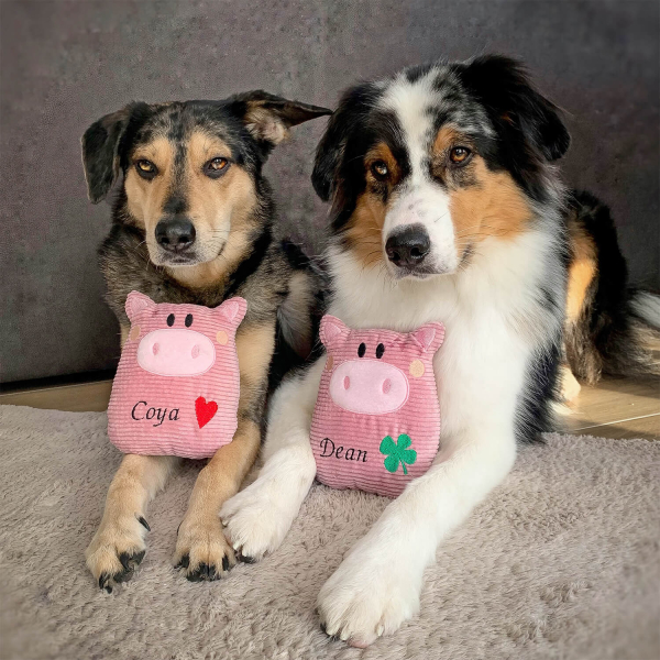 Spielzeug für den Hund Schwein