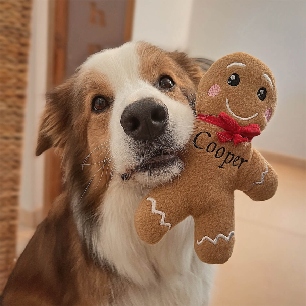 Geschenkideen für Hundeliebhaber